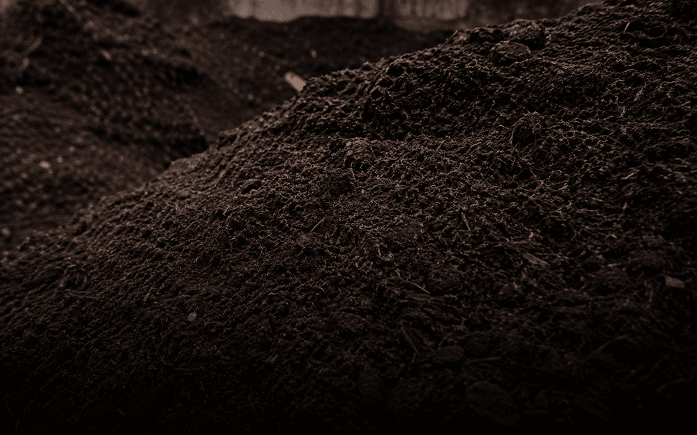 Bark Humus — Wood / Biomass