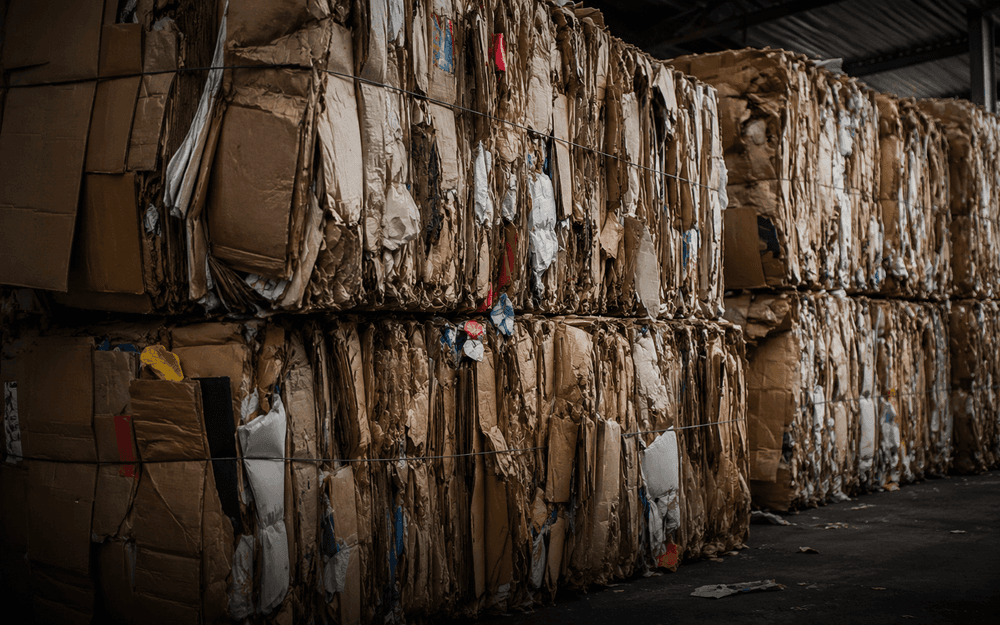 Cardboard / Packaging Waste — Recycling / Paper