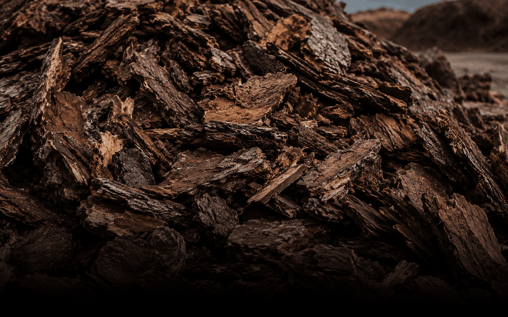 Raw Bark — Wood / Biomass