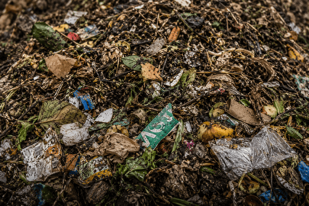 Compost Oversize material